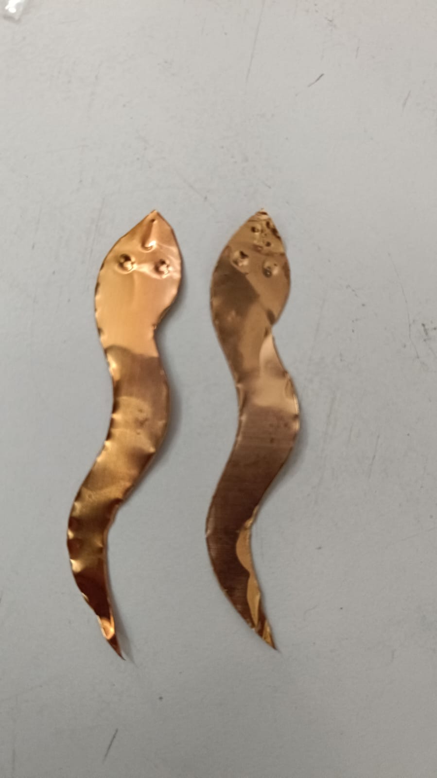 Nag नाग 2Pcs