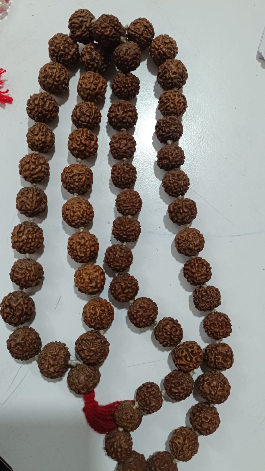 Rudraksha mala रुद्राक्ष माला Shiva mala Japa mala Lagaune Mala Bhadrakxya mala