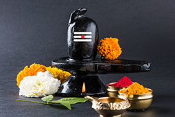 शिव रात्री Shiva Ratri - Medium Package